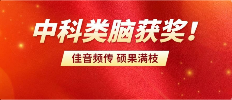 祝賀|中科類腦獲得安徽省人工智能技術獎一等獎